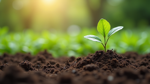 VFarms Bio Fertilizers: A Step Towards Chemical-Free Agriculture