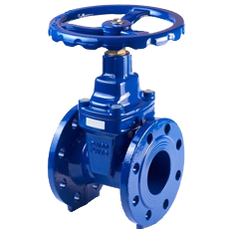 Gate Valve