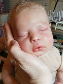 Dustin has been adopted!