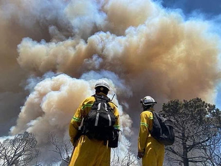 Conoce el Servicio de Apoyo Aéreo para Combate de Incendios Forestales
