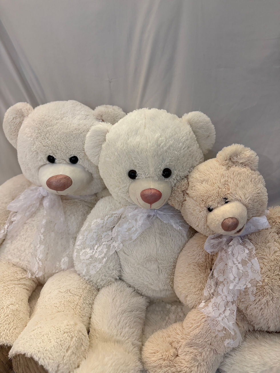Teddy Bears - $15