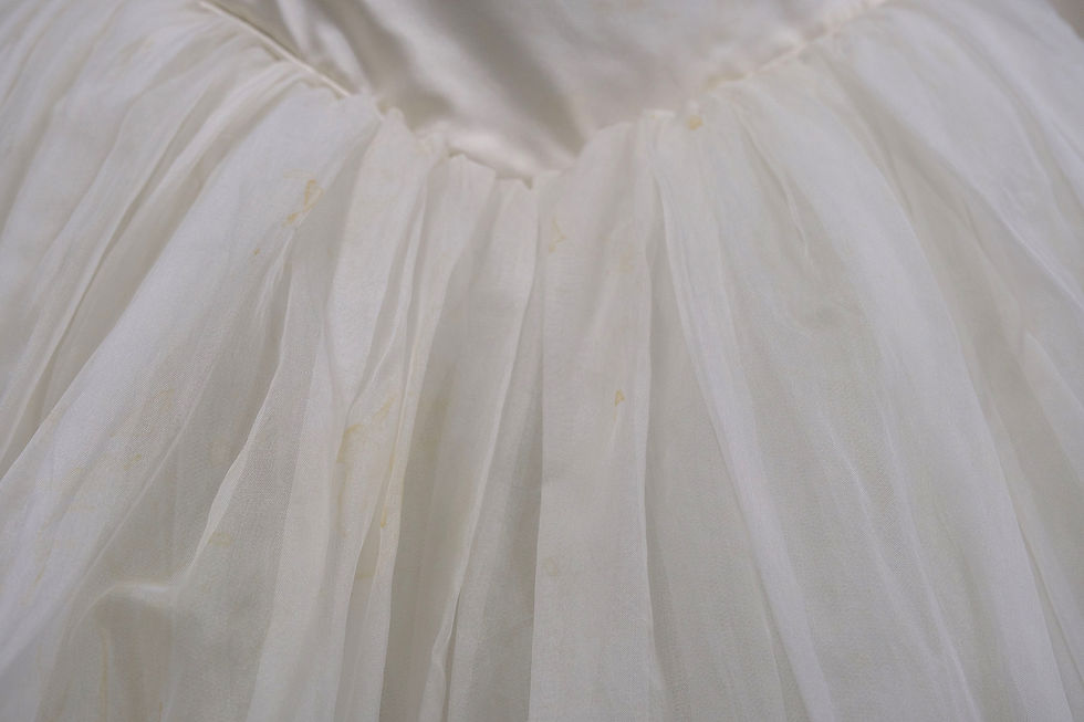 Thumbnail: Tulip