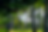 MV2_0.33.png