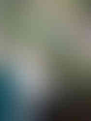 Psychologin in ihrer Praxis vor einer Dschungeltapete