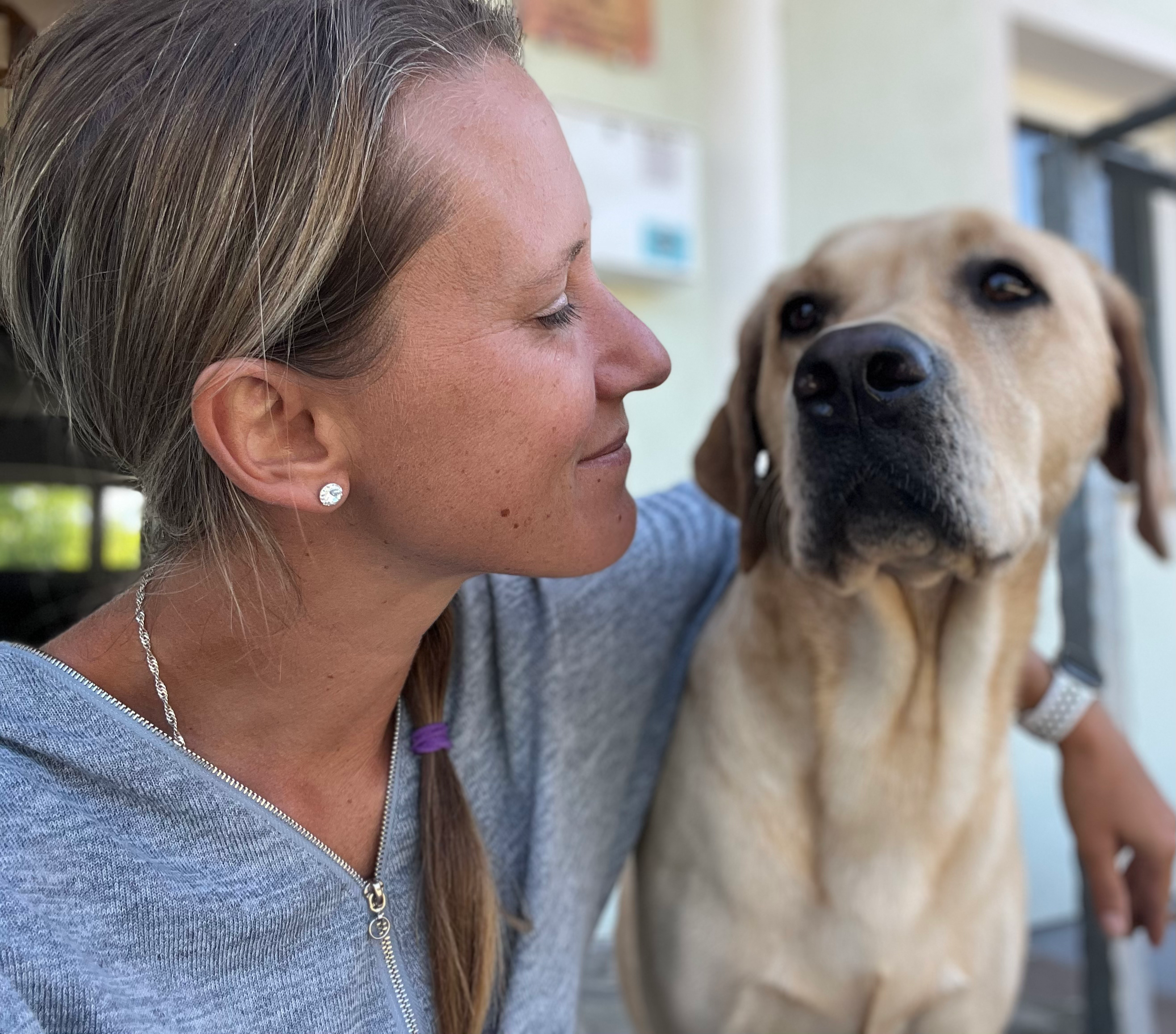 Autorenbild: Dream Dogs - Trust is the key 