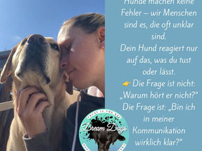 Hunde zeigen uns jeden Tag, was sie brauchen!