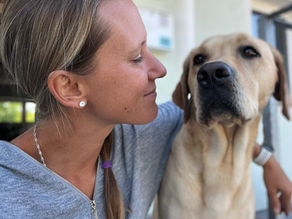 Warum du mich nicht erziehen musst – sondern verstehen solltest (aus Sicht des Hundes)