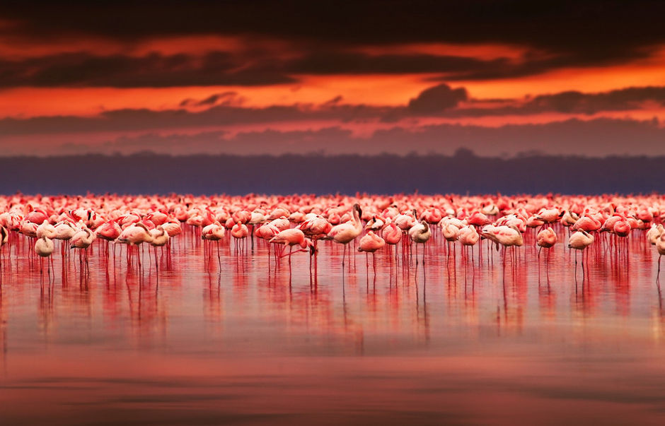 PINK IS POWER: 2