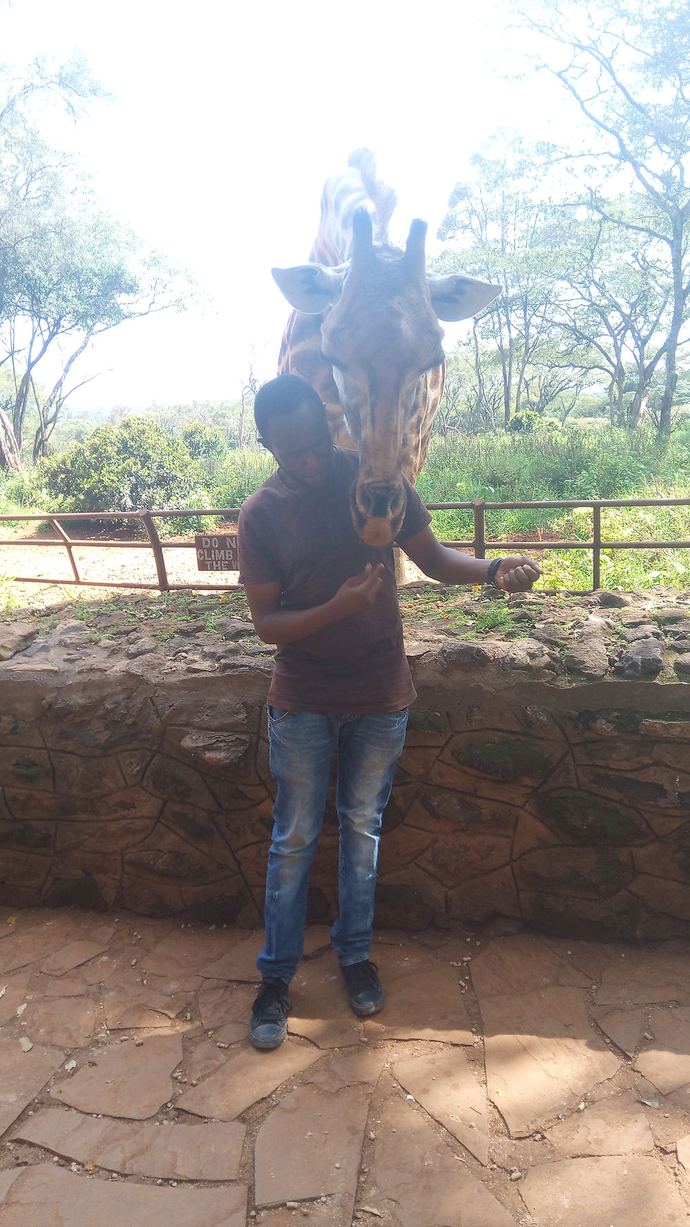 betty( the giraffe)