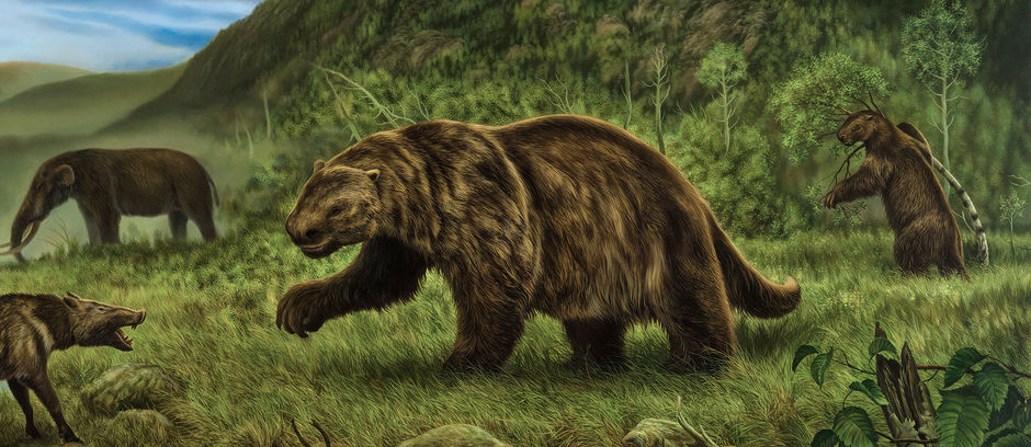 THE EXTINCTION SERIES: GIANT SLOTH
