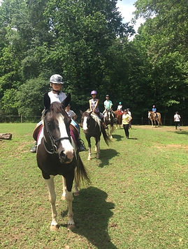 2017 YEC group trail ride Fleur.JPG