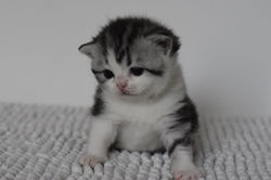 Winona Beautiful Style