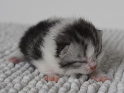 Winona Beautiful Style