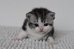 Winona Beautiful Style