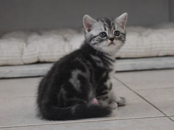 Yasmine Beautiful Style