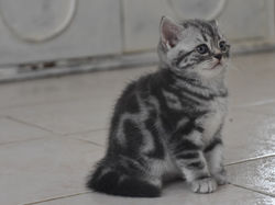 Yasmine Beautiful Style