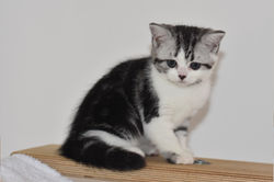 Winona Beautiful Style