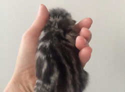 Jammy Mia British Style