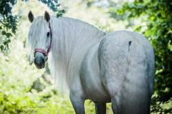 101988933_4033897466650784_6541449424776