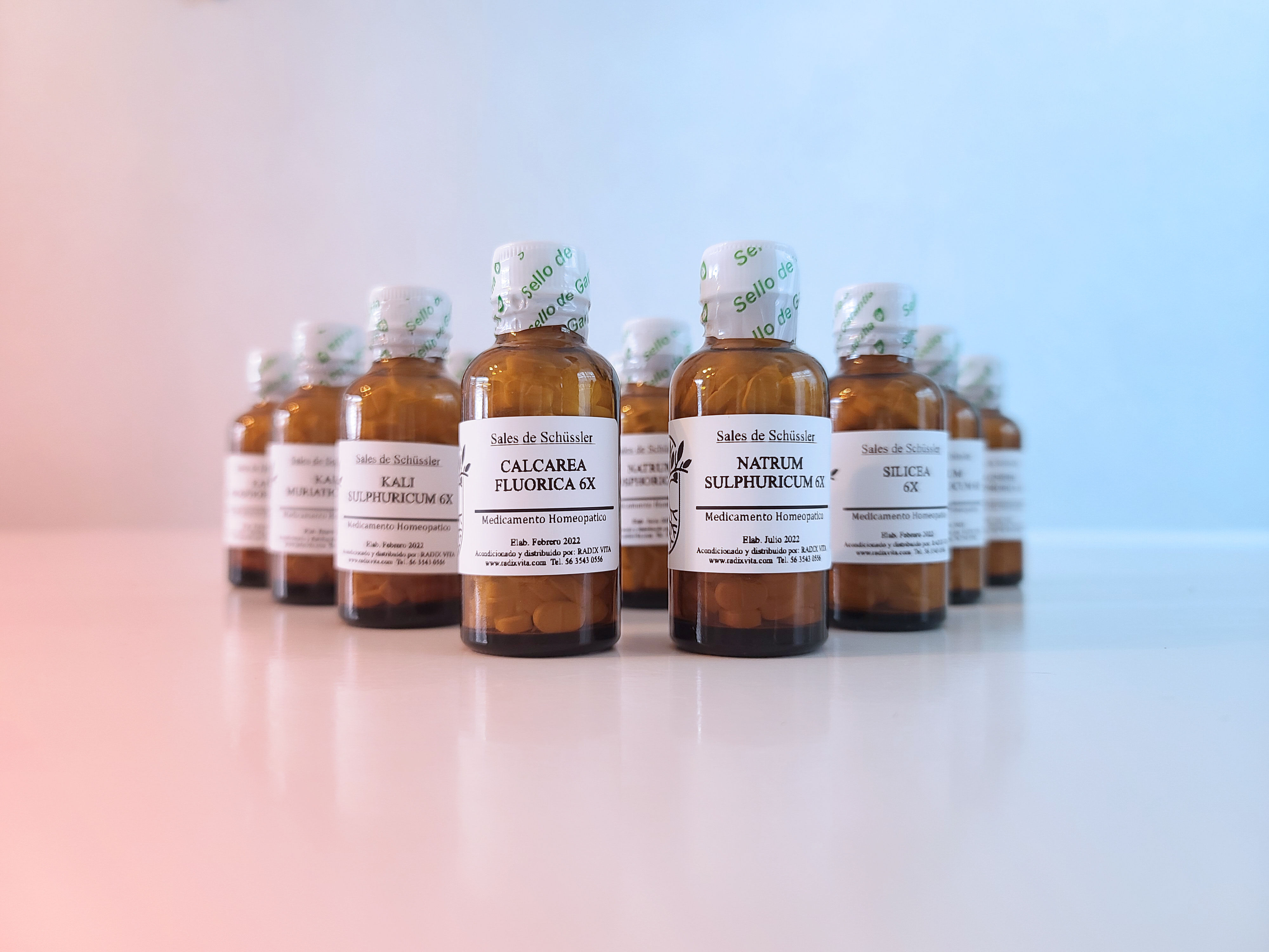 Kit 12 Sales de Schüssler