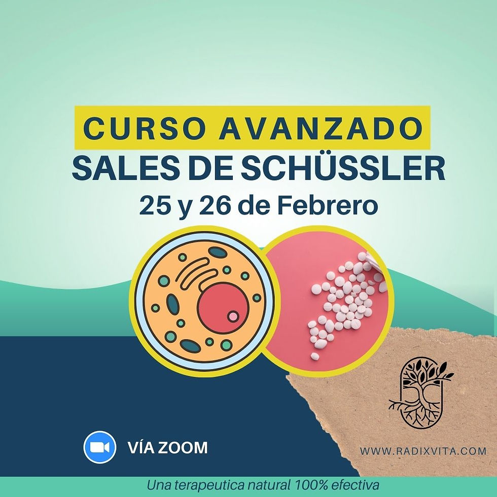 Curso Avanzado Sales de Schüssler 25 y 26 de Marzo