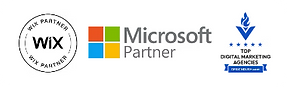Microsoft Partner Logo