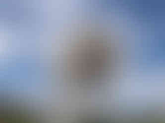 Large radio telescope dish over a grassy field, with bright blue sky and wispy clouds overhead.