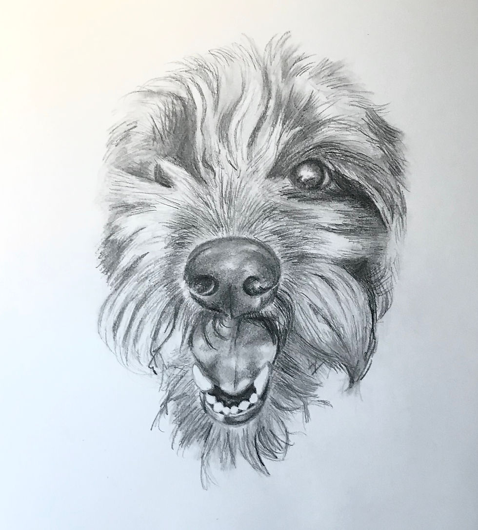 Thumbnail: Custom Personalised Pet Portrait