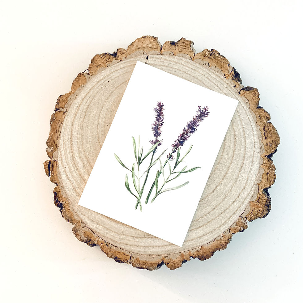 Thumbnail: Lavender Flower Greeting Card