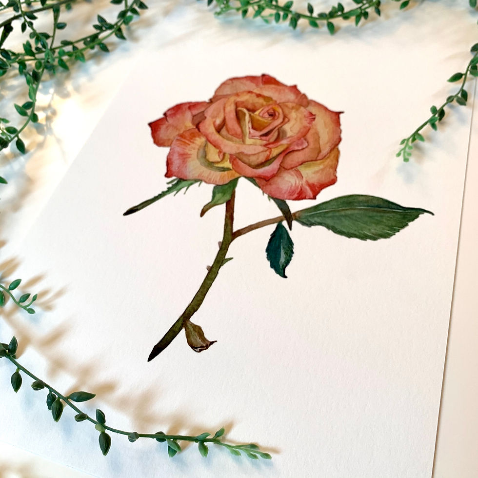 What flowers bloom in summer in the UK?