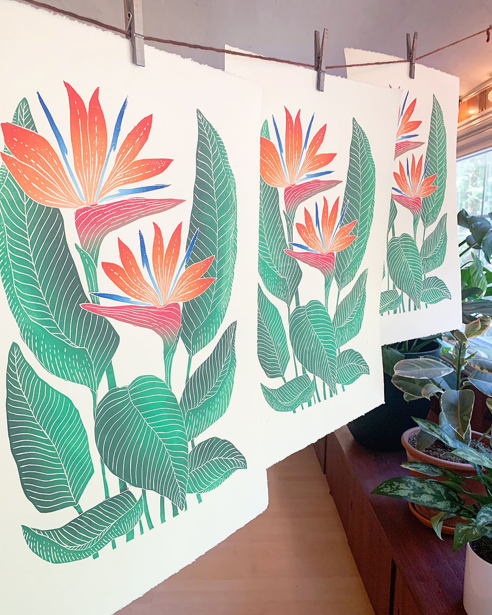 Thumbnail: Strelitzia Reginae aka Bird of Paradise