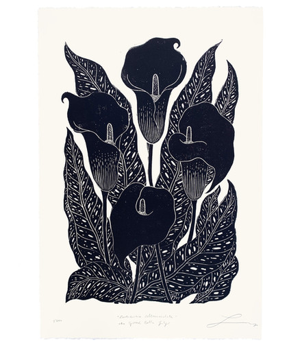 Zantedeschia Albomaculata aka Spotted Calla Lily | lili-arnold-studios