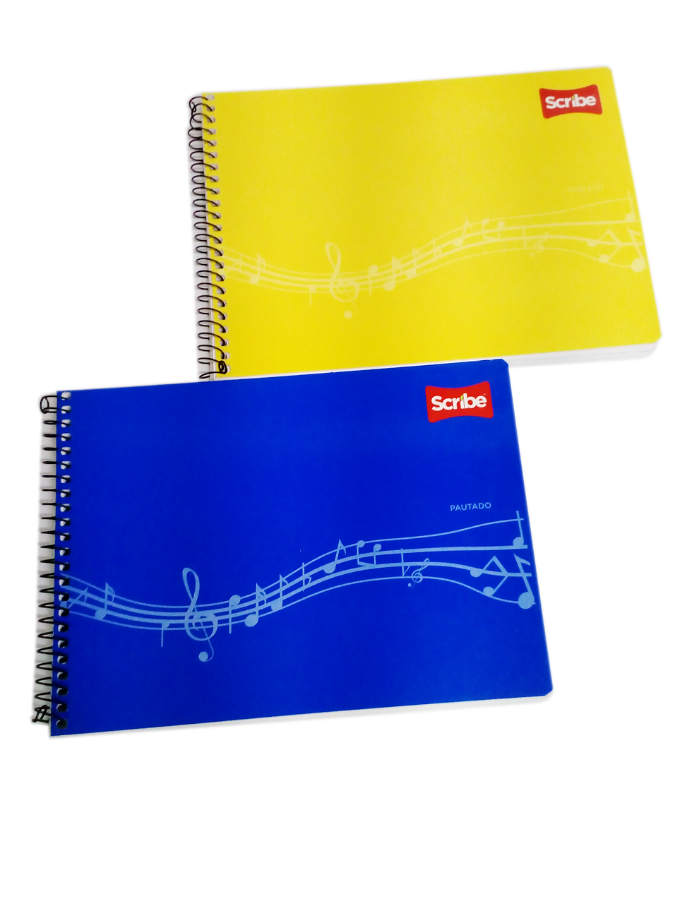 CDRN SCR PAUTADO F/ITA 50H PLAS 1108