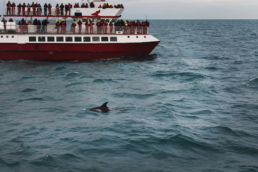 blog_Iceland_2015-6.jpg