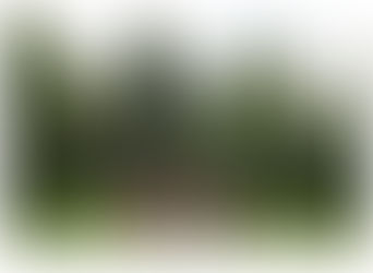 Robynne + Cody | St. Albert Wedding