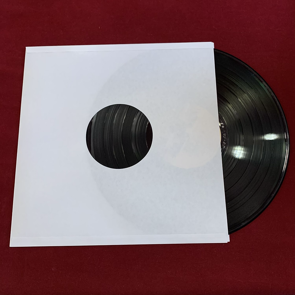 Miniatura: Fundas internas para vinilos x 10 ref 1336