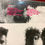 Miniatura: Vinilo Soda Stereo Nada Personal