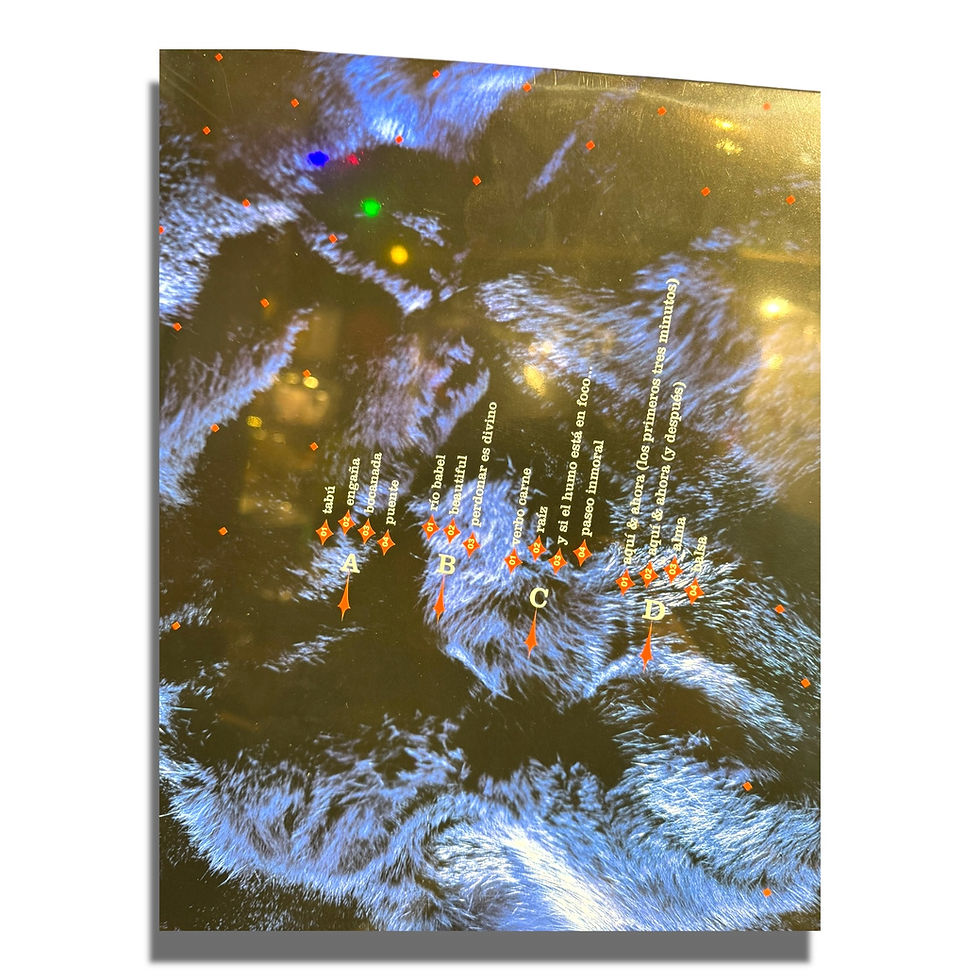 Miniatura: Vinilo Gustavo Cerati / Bocanada