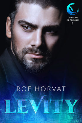 cover Levity