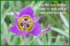 Card Luke 19.10.jpg