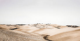 Desert Landscape