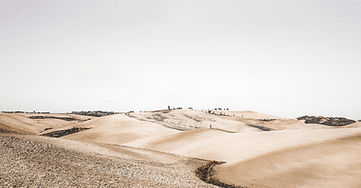 Paysage désert