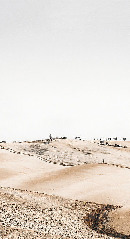 Paysage désert