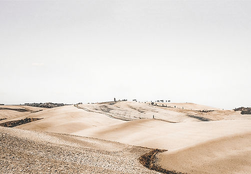 paisaje del desierto