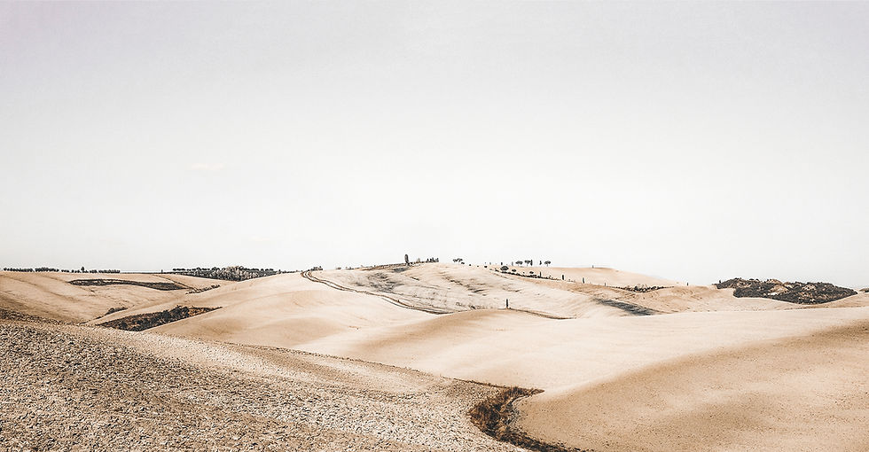 Desert Landscape