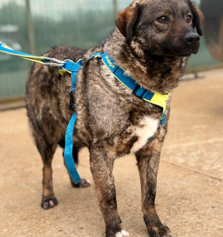 Screenshot 2026-04-09 002404_edited.png