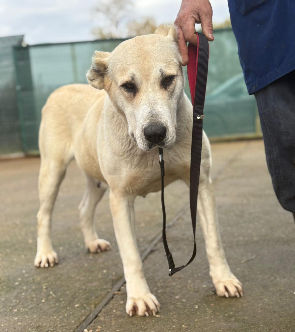 WhatsApp Bild 2025-12-10 um 11.51_edited.jpg