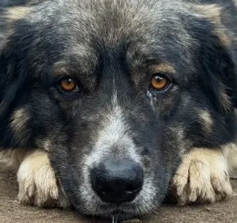 Screenshot 2026-04-09 010033.png