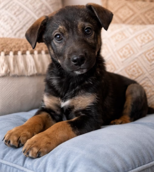 Screenshot 2026-04-09 100600_edited.png