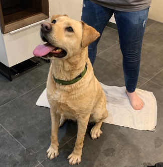 Screenshot 2026-04-24 205327_edited.png